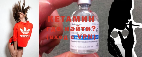 прущие грибы Балахна