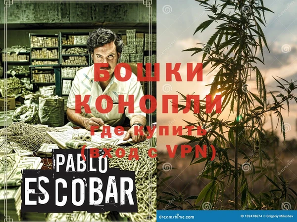 прущие грибы Балахна