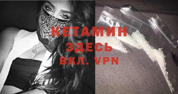 прущие грибы Балахна