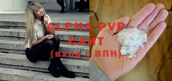 прущие грибы Балахна