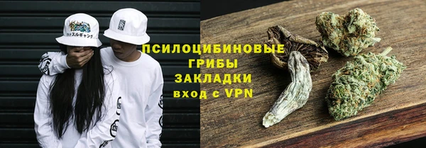 прущие грибы Балахна