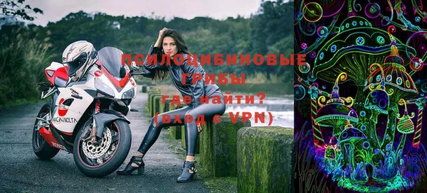 прущие грибы Балахна